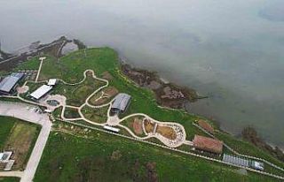 Altınova Belediyesi Tıbbi ve Aromatik Bitkiler Bahçesi...