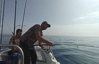 Amatör balıkçının köpek balığı kabusu