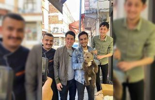 Annesini kaybeden yavru ayı köylüler tarafından...