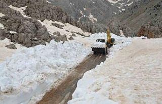 Antalya’da karla mücadele