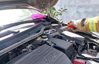 Araç motoruna giren zehirli yılan korkuttu
