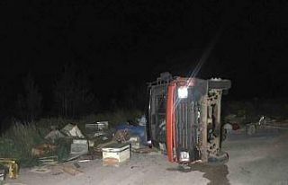 Arı kovanı yüklü pikap yan yattı, 60 kovan arı...