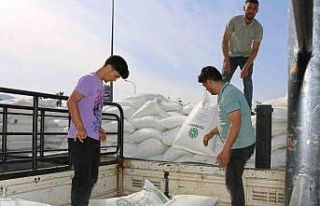 Arıcılara bakanlıktan şeker desteği