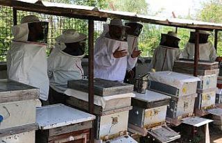 Arıcılığa başlamak için ilk adımlarını attılar