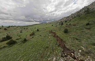 Asrın felaketinin doğadaki yara izleri tazeliğini...