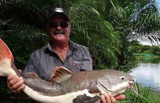 Avustralya’da kayıp kişinin kalıntıları timsahın...