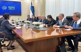 Aydemir Özbekistan referandumunu değerlendirdi