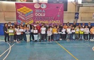 Aydın Akıl ve Zeka Oyunları Turnuvası il finali...