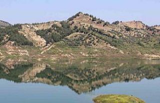 Aydın’da bahar yağmurları sevindirdi, barajlardaki...