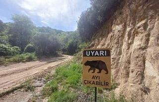 Ayı uyarısı levhalara taşındı