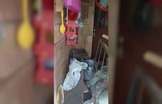 Ayılar yayla evlerini talan etti, vatandaş eve "Selamünaleyküm"...