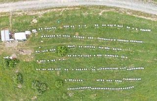 Aylardır Diyarbakır’da olan gezgin arıcı 2,5...