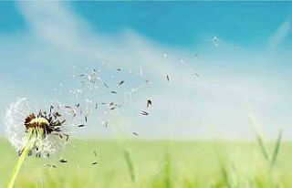 Bahar aylarında göz alerjisine dikkat