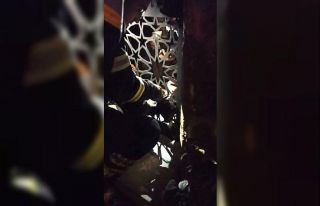 Bahçe kapısına sıkışan yavru köpek işte böyle...