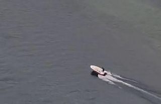 Baraj gölünde mahsur kalan köpekleri vatandaş...