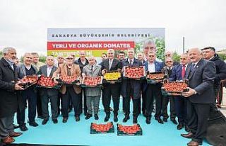 Başkan Yüce: “Seracılık Mükemmeliyet Merkezi...