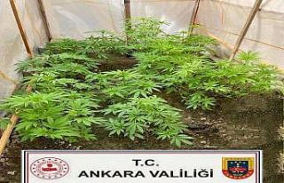 Başkentte uyuşturucuyla mücadele çalışmaları...