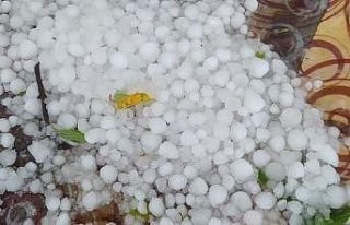 Baskil’i dolu vurdu