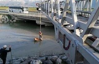 Bataklığa saplanan ineği itfaiye kurtardı