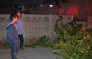 Batman’da sokağa devrilen ağaç itfaiye ekipleri...