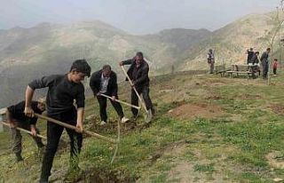 Batman’da terörden arındırılan yaylalar meyve...