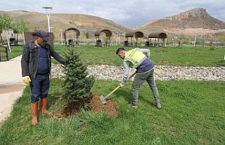 Bayburt Belediyesinin temizlik ve bakım çalışmaları...