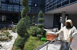 Belediyenin bahçesine konan oğul paniğe yol açtı