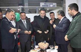 Biga’da Ceviz ve Badem Festivali başladı