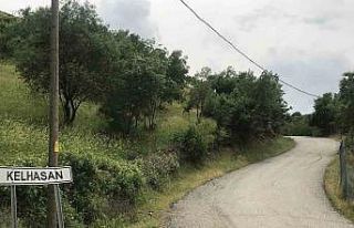 Bin 300 rakımda yetiştirilen çilek çiftçinin...