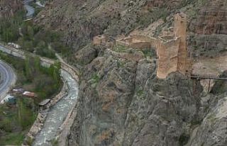 Bin yaşında ama halen ayakta