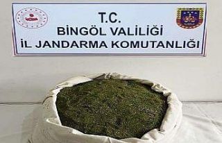 Bingöl’de 21 kilo toz esrar ele geçirildi