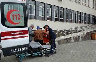 Bingöl’de yaşlı ve hastalar ambulansla sandığa...