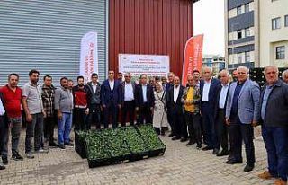 Bingöl’de yüzde 75 hibe ile 630 bin sebze fidesi...