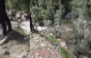 Bitlis’te otomobil dereye uçtu: 1 ölü, 2 yaralı