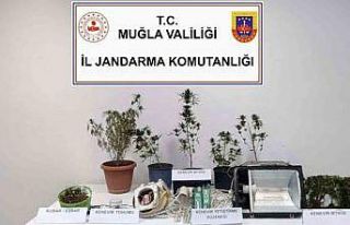 Bodrum, Milas ve Seydikemer’de uyuşturucu operasyonu