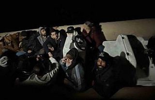 Bodrum’da 14 düzensiz göçmen yakalandı