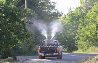 Bozova’da haşereye karşı ilaçlama