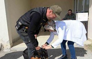 Bozüyük’te ücretsiz kuduz aşısı kampanyası...