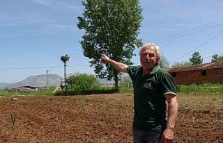 Bu köy 40 yıllık misafir leylekleriyle dikkat çekiyor