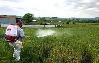 Buğday arazilerine gübreleme desteği