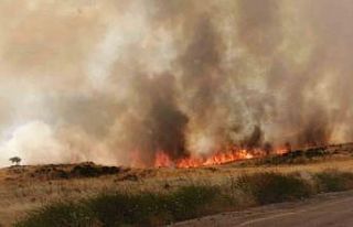 Buğday tarlası küle döndü