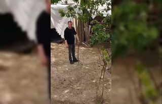 Bursa’da bahçesine giren yılanı elleriyle yakaladı