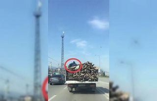 Bursa’da kendi canını hiçe saydı, odunların...