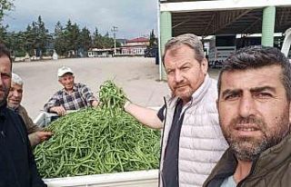 Bursa’da nazende fasulye çıktı