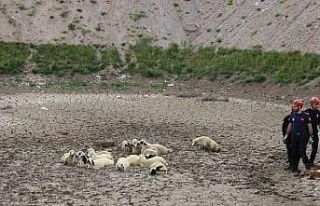 Büyükşehir İtfaiyesi’nden bataklıkta 2 saatlik...