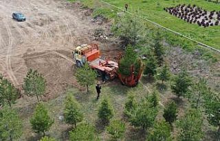 Büyükşehir, Mimarsinan OSB Kavşağı ile refüjleri...