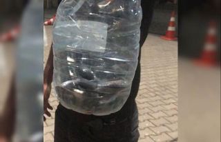 Çadırlar arasında görülen yılan paniğe neden...