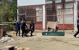 Çalıştığı kahvehanede ölü bulundu