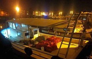 Çanakkale’de değeri 2 milyon TL olan akivades...