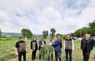 Çan’da Dörtlü Karışım Yem Bitkisi Projesinin...